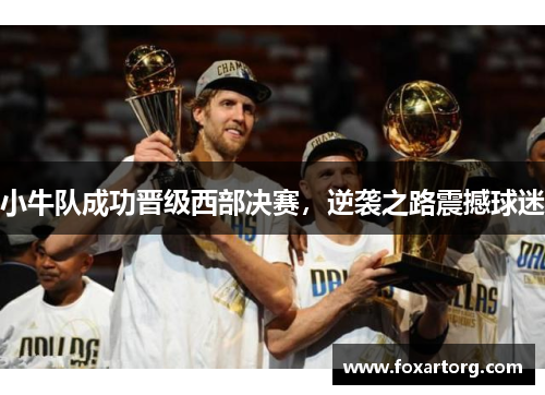 小牛队成功晋级西部决赛，逆袭之路震撼球迷